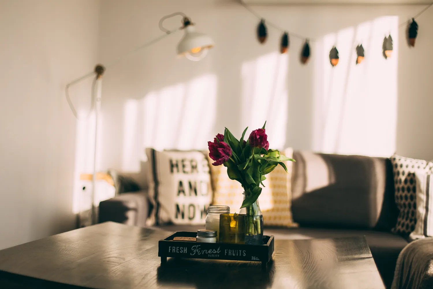 Afternoon light across a sofa and a table with tulips