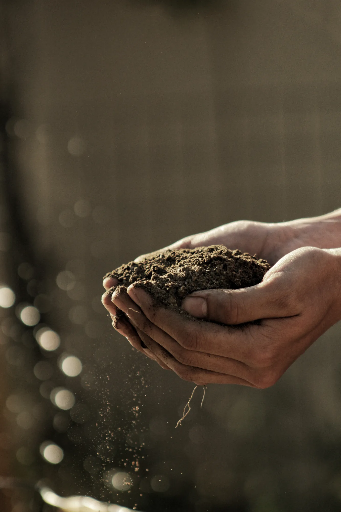 Hands holding a little soil