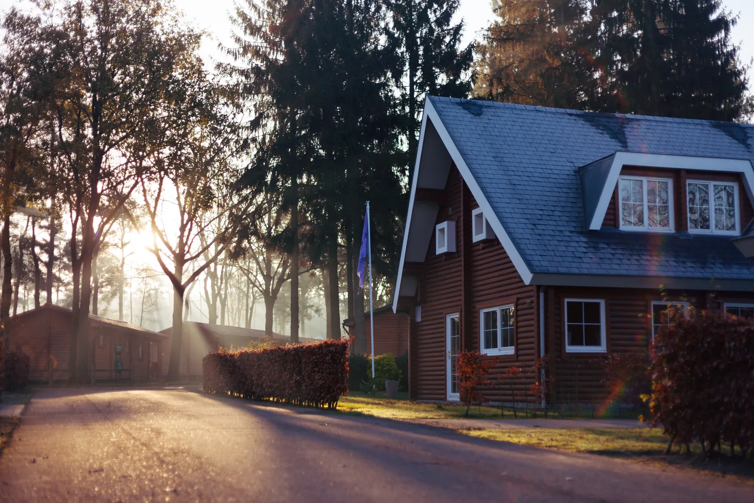 A house with a steep blue slate roof and dormer windows among trees