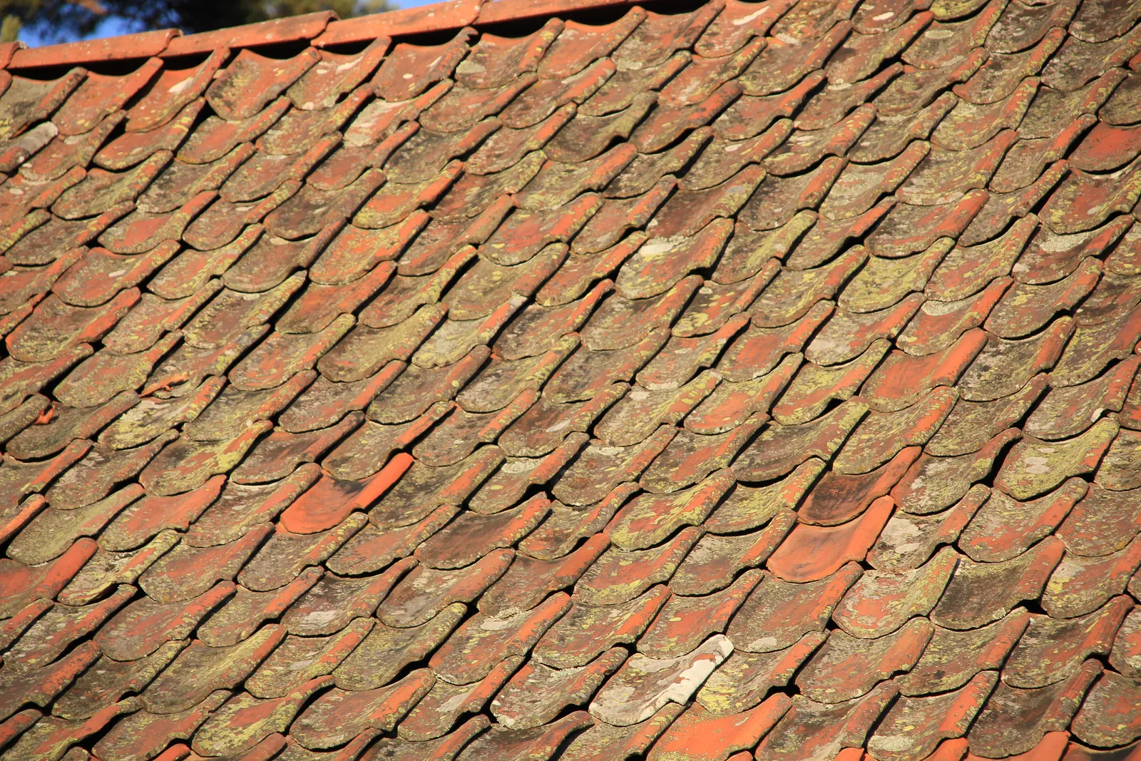 Old clay roof tiles with lichen on a pitched roof
