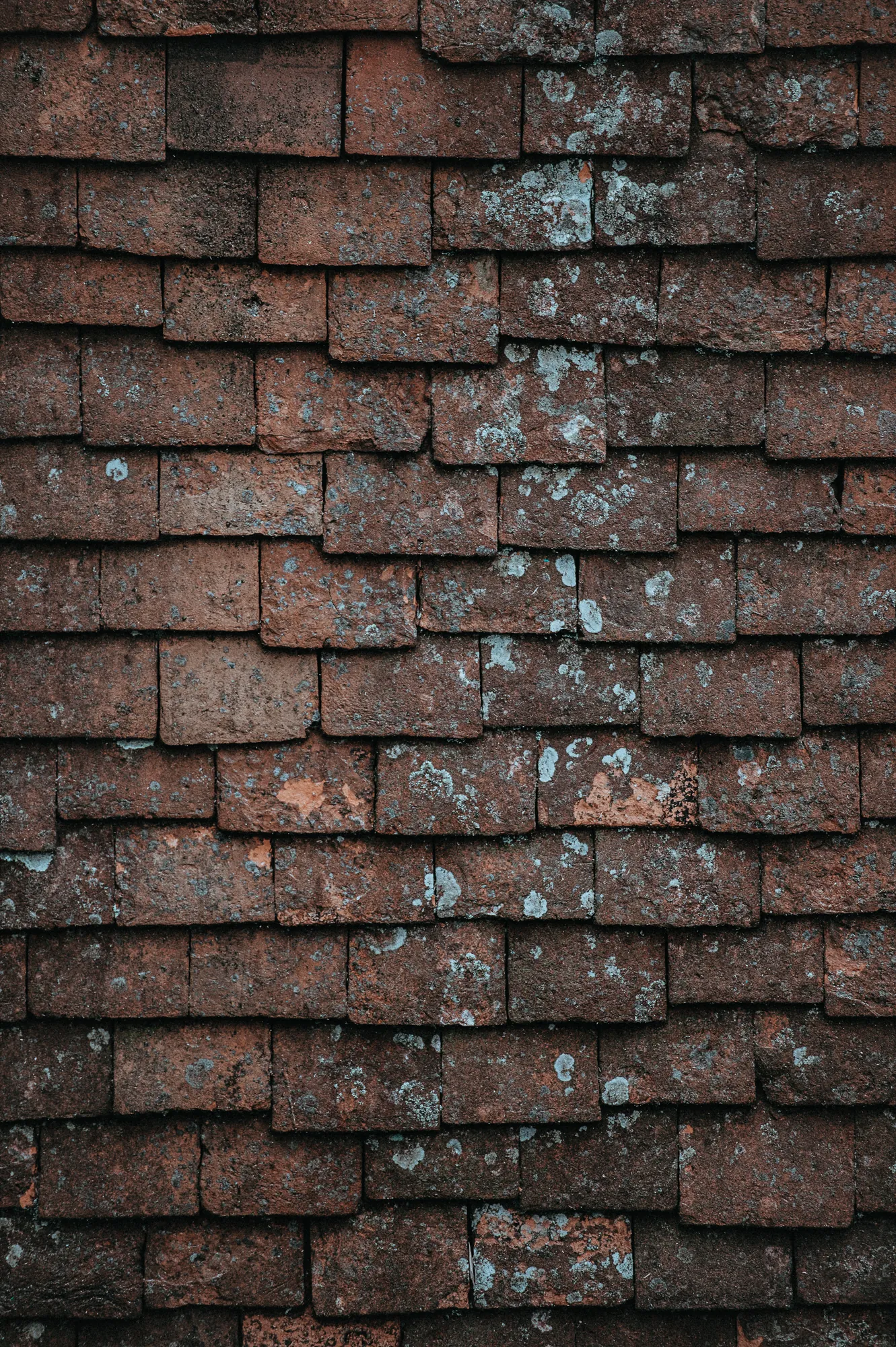 Weathered clay roof tiles with lichen