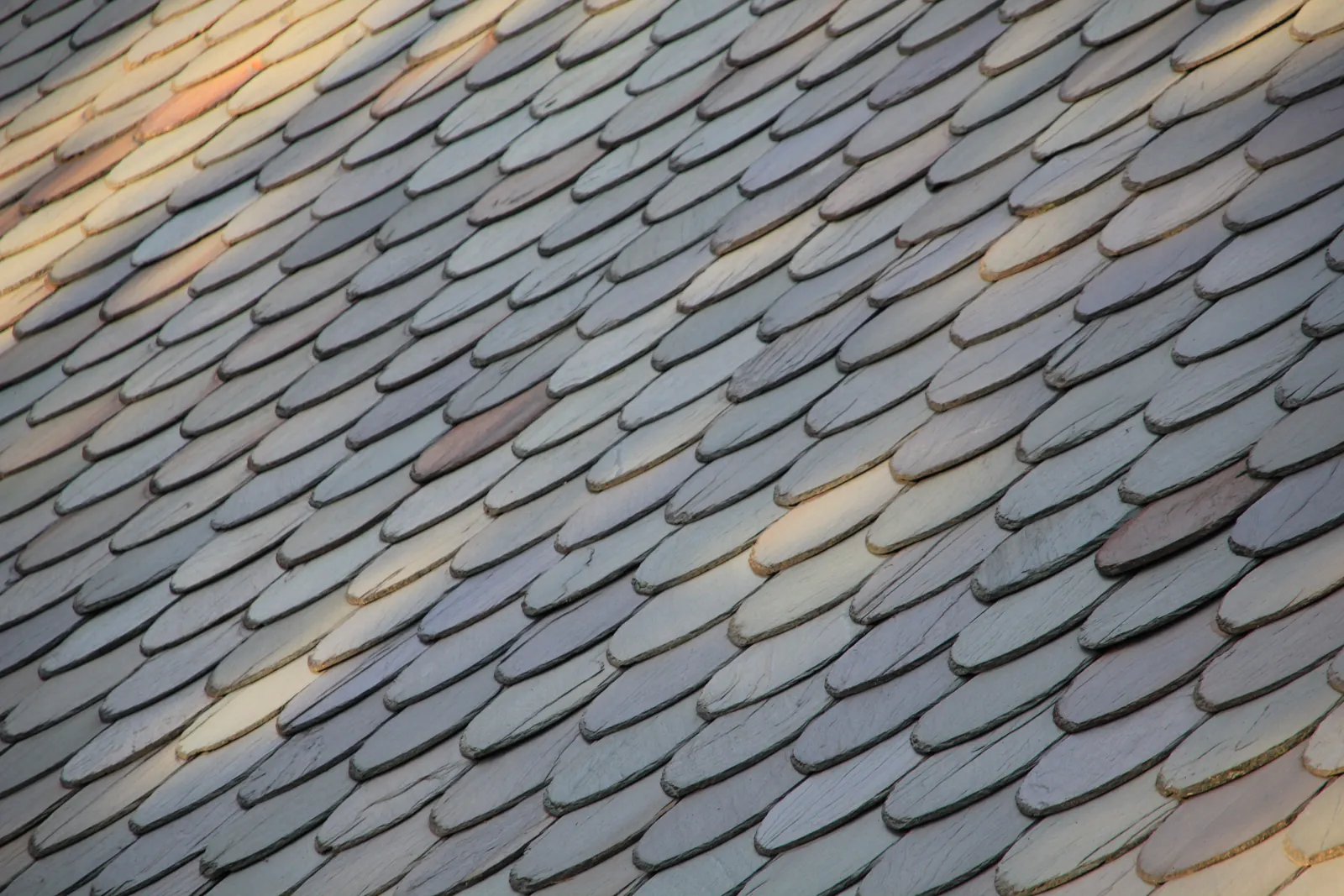 A close-up of overlapping slate roof tiles in blue, grey and ochre tones