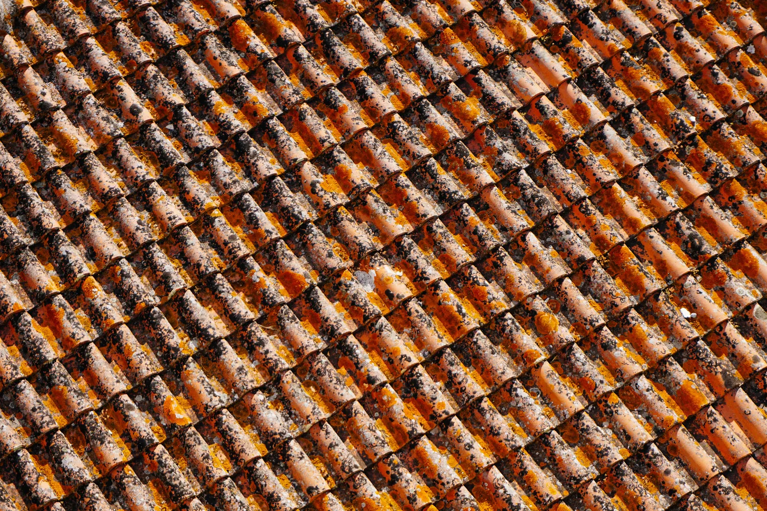 Close-up of overlapping terracotta roof tiles